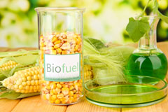 Berrier biofuel availability