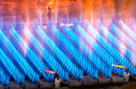 Berrier gas fired boilers